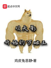 从火影开始的万磁王